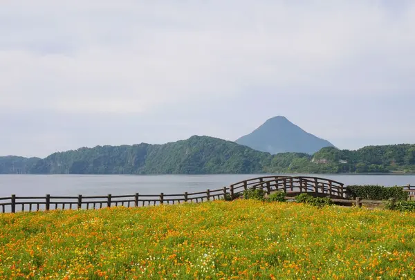 池田湖の写真・動画_image_320154