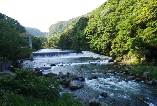南大隅町 雄川の滝の写真・動画_image_320189