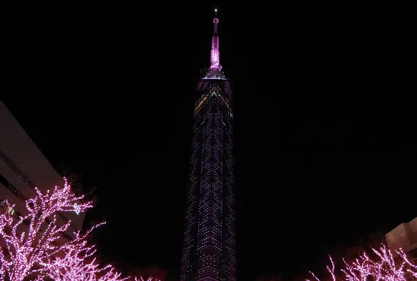 福岡タワーの写真・動画_image_320381