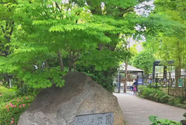 行船公園の写真・動画_image_323116