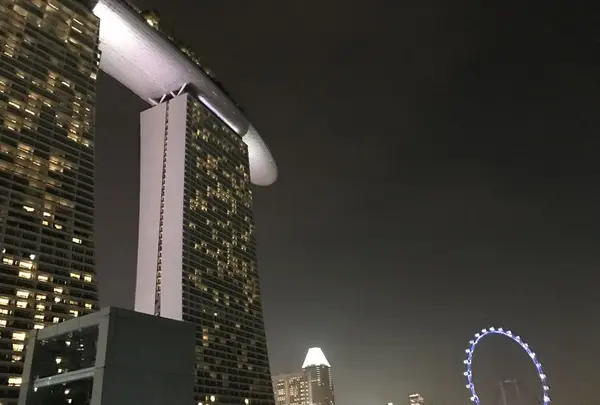 Merlionの写真・動画_image_323178