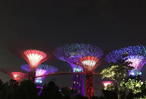 Merlionの写真・動画_image_323192