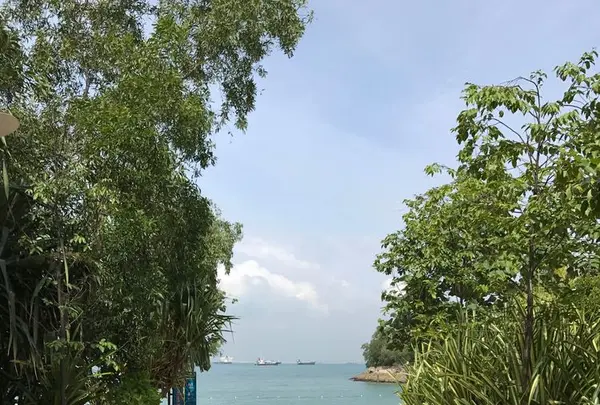 Merlionの写真・動画_image_323194
