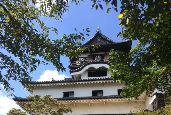 犬山城の写真・動画_image_323241