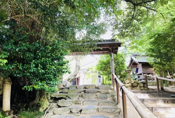 八重垣神社の写真・動画_image_324978