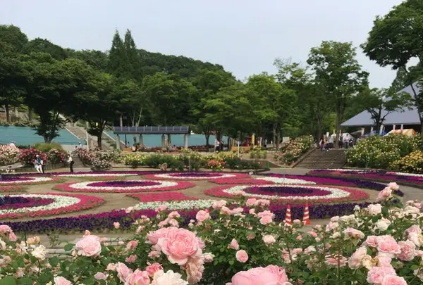 花フェスタ記念公園の写真・動画_image_325155