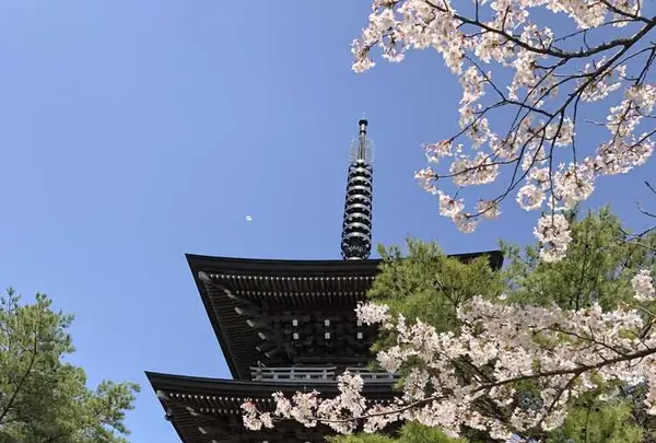 能登大仏の写真・動画_image_325889