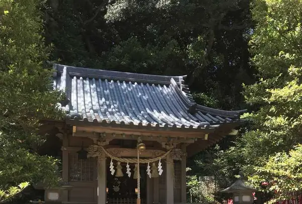 八坂神社の写真・動画_image_326348