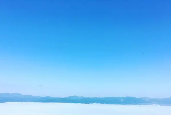 函館山展望台の写真・動画_image_330383