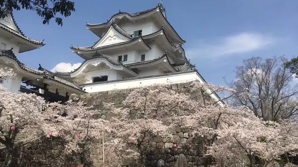 上野城の写真・動画_image_330938