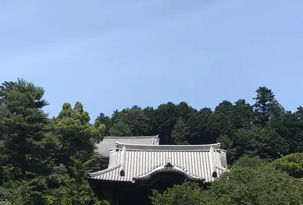 高麗山聖天院 正門の写真・動画_image_331662