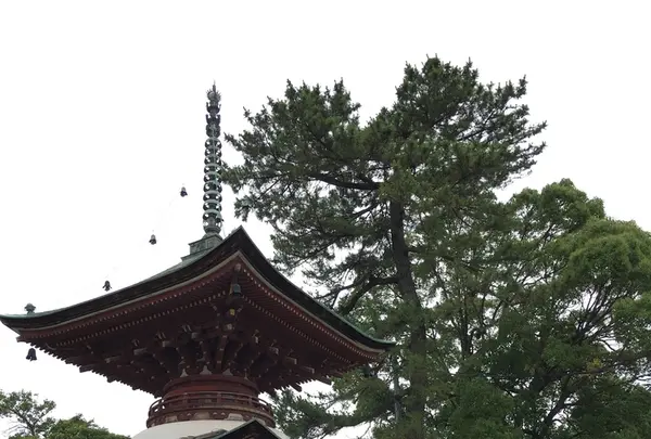 大塚性海寺歴史公園の写真・動画_image_333025