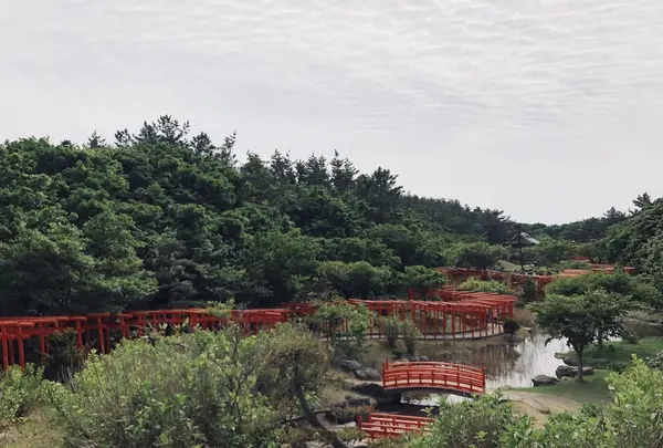 高山稲荷神社の写真・動画_image_333302