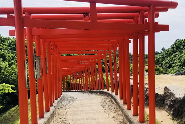 高山稲荷神社の写真・動画_image_333303