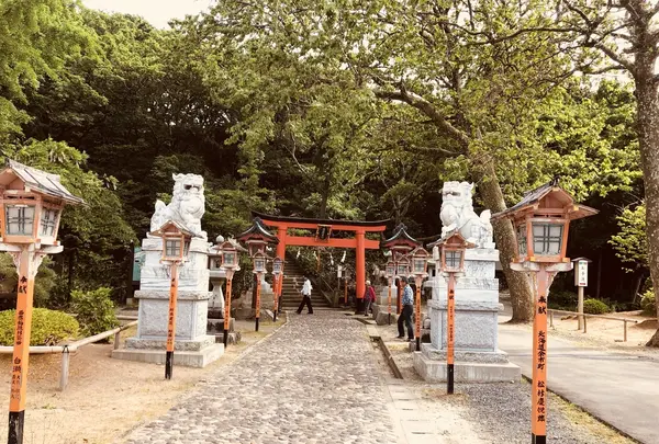 高山稲荷神社の写真・動画_image_333306