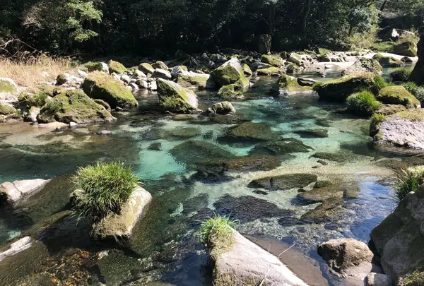 南大隅町 雄川の滝の写真・動画_image_338313