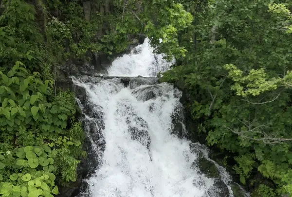 三段の滝の写真・動画_image_339293