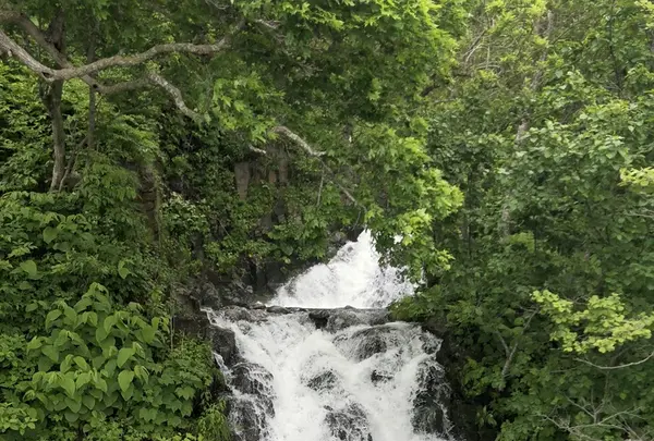 三段の滝の写真・動画_image_339295