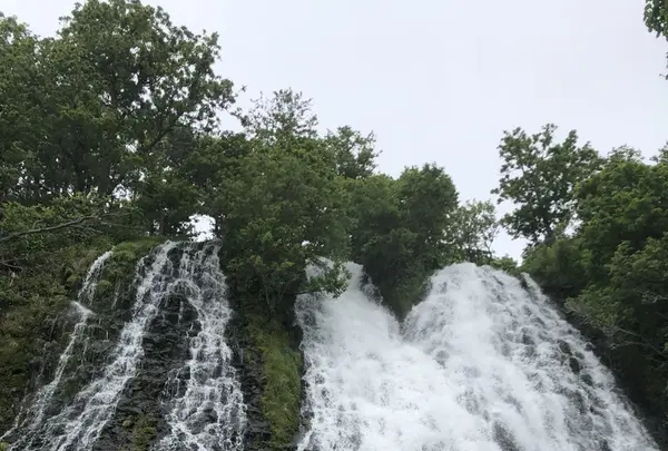 オシンコシンの滝の写真・動画_image_339302