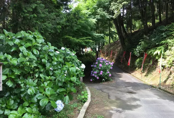 日龍峰寺（高沢観音）の写真・動画_image_341006