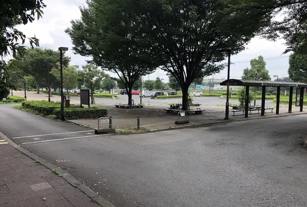 智光山公園（バス）の写真・動画_image_348030