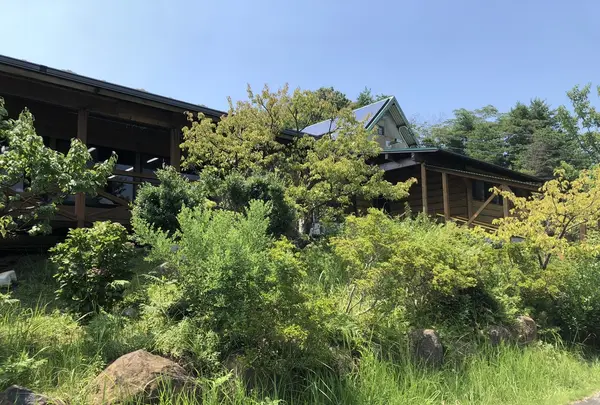 やまびこの写真・動画_image_409612