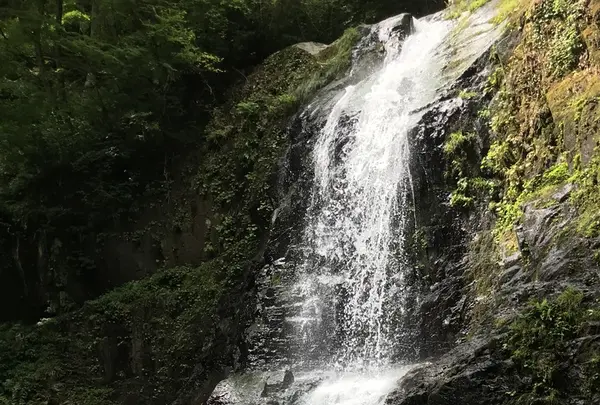 県立自然公園宇津江四十八滝の写真・動画_image_412252