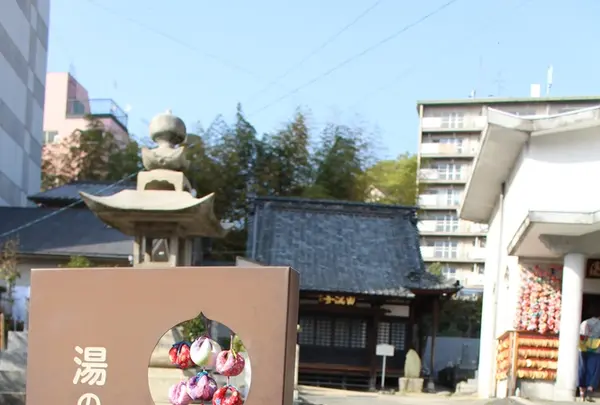 圓満寺の写真・動画_image_419750