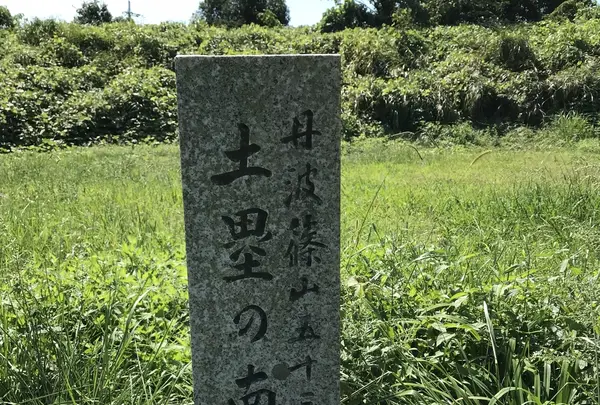 篠山城跡の写真・動画_image_430765