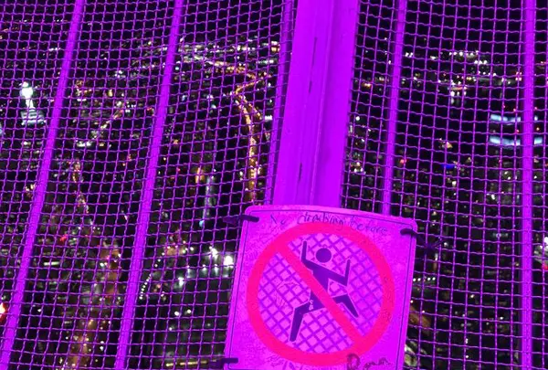 ＣＮタワー（CN Tower）の写真・動画_image_442591
