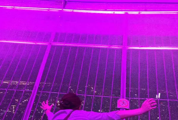 ＣＮタワー（CN Tower）の写真・動画_image_442592