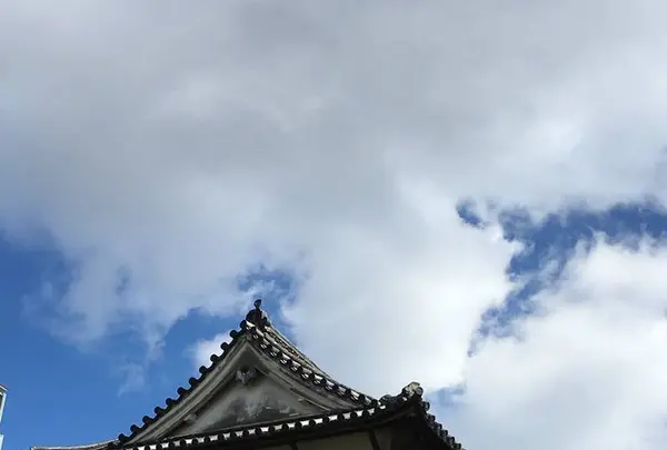 福岡城潮見櫓の写真・動画_image_451784