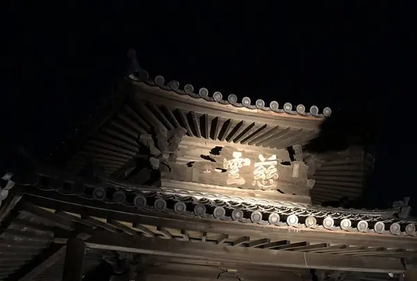 東長寺の写真・動画_image_457001