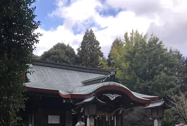筑紫神社の写真・動画_image_457037