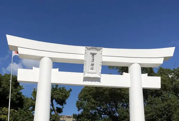唐津神社の写真・動画_image_457069