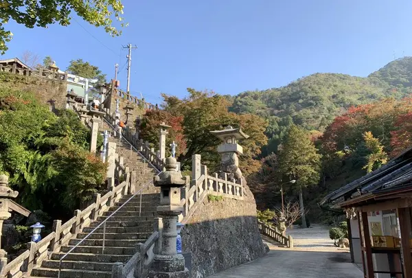 陶山神社の写真・動画_image_460098