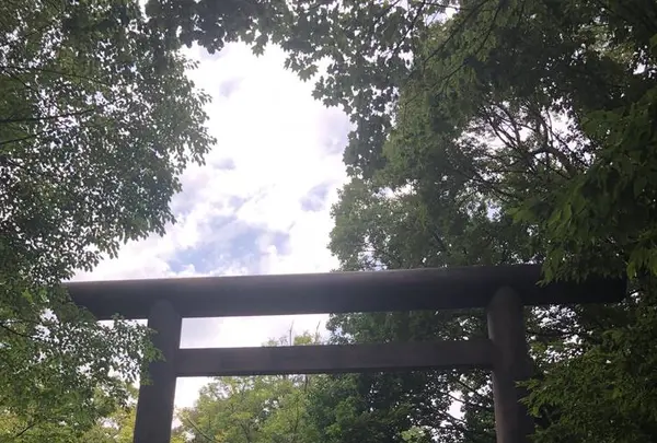 北海道神宮の写真・動画_image_460304