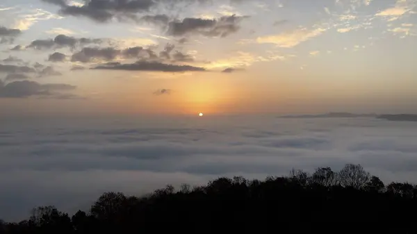 高谷山 霧の海 展望台の写真・動画_image_467999