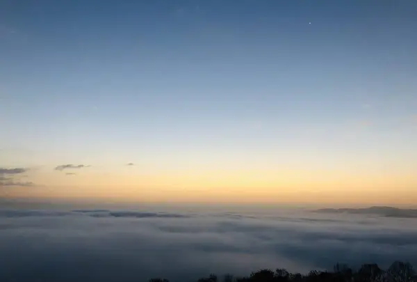 高谷山 霧の海 展望台の写真・動画_image_468001
