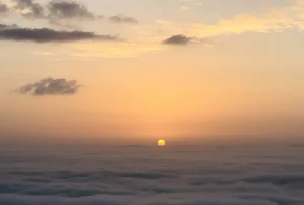 高谷山 霧の海 展望台の写真・動画_image_468002