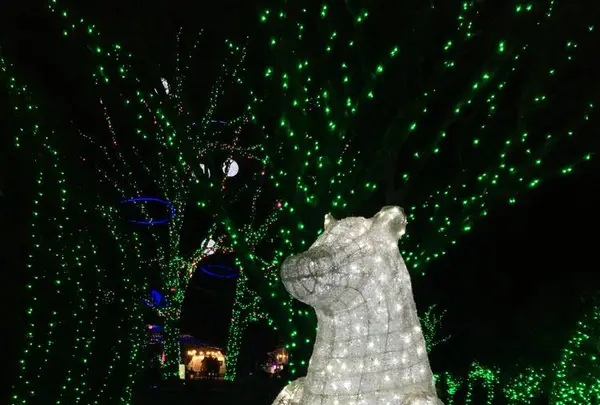 茨城県フラワーパークの写真・動画_image_474267