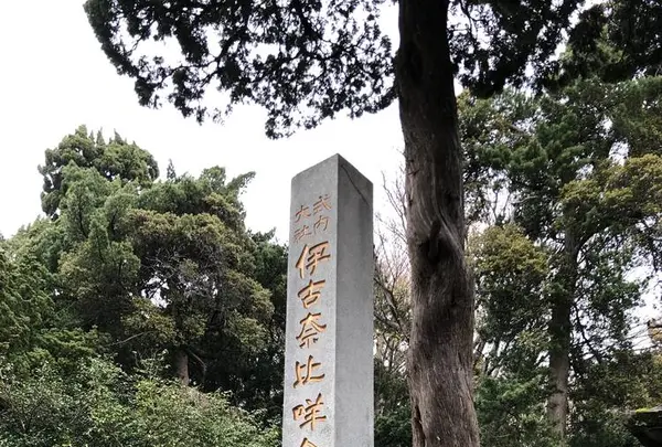 白浜神社の写真・動画_image_475726