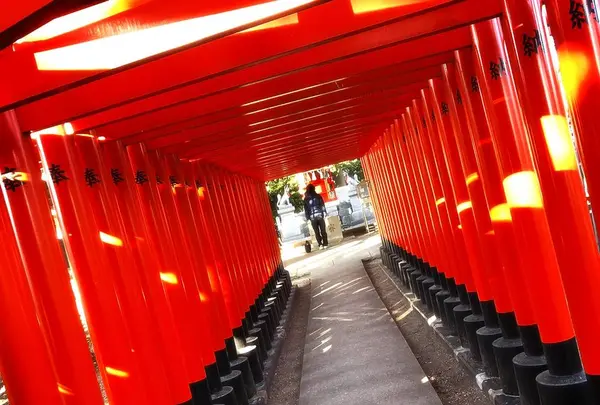 川原神社の写真・動画_image_496291