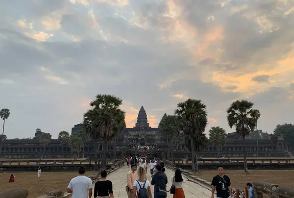 Angkor Wat（アンコール・ワット）の写真・動画_image_499242