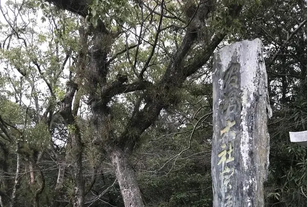 宗像大社の写真・動画_image_505870