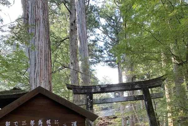 滝尾神社の写真・動画_image_518843