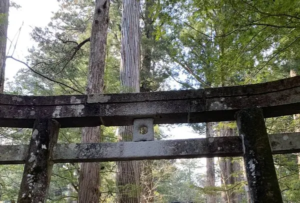 滝尾神社の写真・動画_image_518845