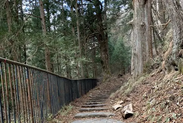 滝尾神社の写真・動画_image_518963