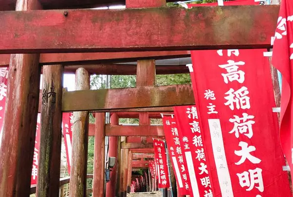 清高稲荷神社の写真・動画_image_529942