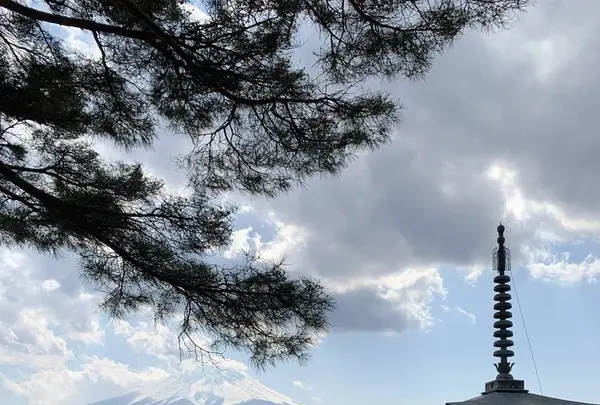 新倉富士浅間神社の写真・動画_image_530118